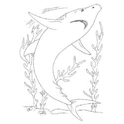 Página para colorir: Tubarão (animais) #14927 - Páginas para Colorir Imprimíveis Gratuitamente