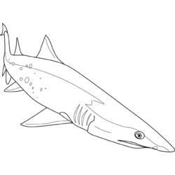 Página para colorir: Tubarão (animais) #14949 - Páginas para Colorir Imprimíveis Gratuitamente