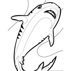 Página para colorir: Tubarão (animais) #14955 - Páginas para Colorir Imprimíveis Gratuitamente