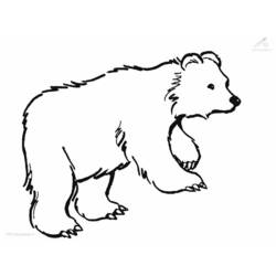 Página para colorir: Urso (animais) #12188 - Páginas para Colorir Imprimíveis Gratuitamente