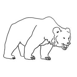 Página para colorir: Urso (animais) #12189 - Páginas para Colorir Imprimíveis Gratuitamente