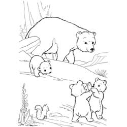 Página para colorir: Urso (animais) #12207 - Páginas para Colorir Imprimíveis Gratuitamente