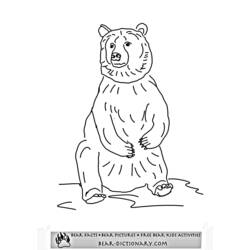 Página para colorir: Urso (animais) #12223 - Páginas para Colorir Imprimíveis Gratuitamente