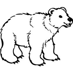Página para colorir: Urso (animais) #12229 - Páginas para Colorir Imprimíveis Gratuitamente