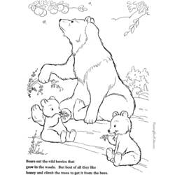 Página para colorir: Urso (animais) #12232 - Páginas para Colorir Imprimíveis Gratuitamente