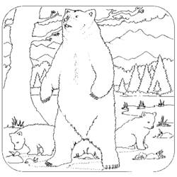 Página para colorir: Urso (animais) #12235 - Páginas para Colorir Imprimíveis Gratuitamente