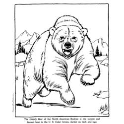 Página para colorir: Urso (animais) #12293 - Páginas para Colorir Imprimíveis Gratuitamente