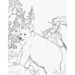 Página para colorir: Urso (animais) #12314 - Páginas para Colorir Imprimíveis Gratuitamente