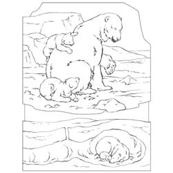 Página para colorir: Urso (animais) #12346 - Páginas para Colorir Imprimíveis Gratuitamente
