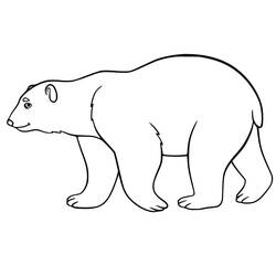 Desenho Urso Polar (Animais) #201229 para imprimir e colorir