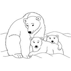 Desenho Urso Polar (Animais) #201262 para imprimir e colorir