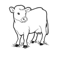 Página para colorir: Vaca (animais) #13189 - Páginas para Colorir Imprimíveis Gratuitamente