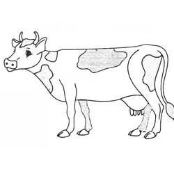 Página para colorir: Vaca (animais) #13227 - Páginas para Colorir Imprimíveis Gratuitamente