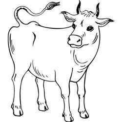 Página para colorir: Vaca (animais) #13248 - Páginas para Colorir Imprimíveis Gratuitamente