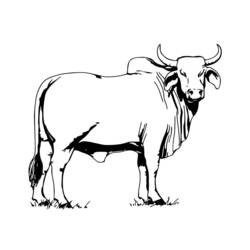Página para colorir: Vaca (animais) #13260 - Páginas para Colorir Imprimíveis Gratuitamente