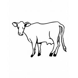 Página para colorir: Vaca (animais) #13274 - Páginas para Colorir Imprimíveis Gratuitamente