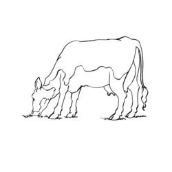 Página para colorir: Vaca (animais) #13347 - Páginas para Colorir Imprimíveis Gratuitamente