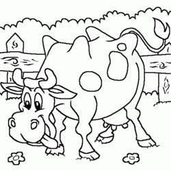 Página para colorir: Vaca (animais) #13363 - Páginas para Colorir Imprimíveis Gratuitamente
