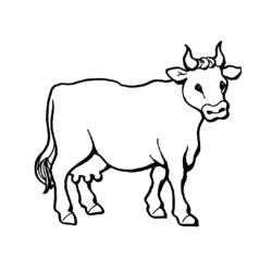 Desenho Vaca (Animais) #1340 para imprimir e colorir