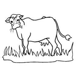 Desenho Vaca (Animais) #178297 para imprimir e colorir