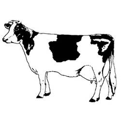 Desenho Vaca (Animais) #178324 para imprimir e colorir