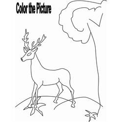 Página para colorir: veado (animais) #2725 - Páginas para Colorir Imprimíveis Gratuitamente