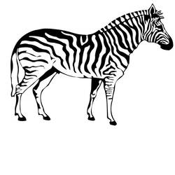 Página para colorir: Zebra (animais) #12940 - Páginas para Colorir Imprimíveis Gratuitamente
