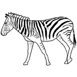 Página para colorir: Zebra (animais) #12953 - Páginas para Colorir Imprimíveis Gratuitamente