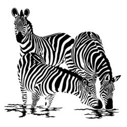 Página para colorir: Zebra (animais) #12955 - Páginas para Colorir Imprimíveis Gratuitamente