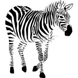 Página para colorir: Zebra (animais) #12957 - Páginas para Colorir Imprimíveis Gratuitamente