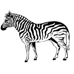 Página para colorir: Zebra (animais) #12963 - Páginas para Colorir Imprimíveis Gratuitamente