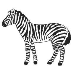 Página para colorir: Zebra (animais) #12968 - Páginas para Colorir Imprimíveis Gratuitamente