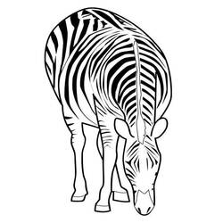 Página para colorir: Zebra (animais) #12977 - Páginas para Colorir Imprimíveis Gratuitamente