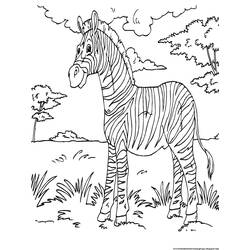 Página para colorir: Zebra (animais) #12995 - Páginas para Colorir Imprimíveis Gratuitamente