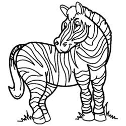 Página para colorir: Zebra (animais) #13008 - Páginas para Colorir Imprimíveis Gratuitamente