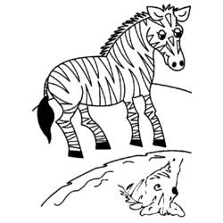 Página para colorir: Zebra (animais) #13013 - Páginas para Colorir Imprimíveis Gratuitamente