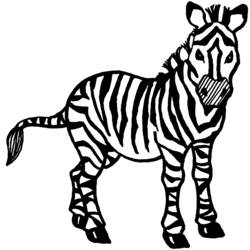 Página para colorir: Zebra (animais) #13019 - Páginas para Colorir Imprimíveis Gratuitamente