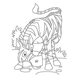 Página para colorir: Zebra (animais) #13024 - Páginas para Colorir Imprimíveis Gratuitamente