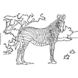 Página para colorir: Zebra (animais) #13041 - Páginas para Colorir Imprimíveis Gratuitamente