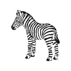 Página para colorir: Zebra (animais) #13042 - Páginas para Colorir Imprimíveis Gratuitamente