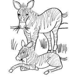 Página para colorir: Zebra (animais) #13051 - Páginas para Colorir Imprimíveis Gratuitamente