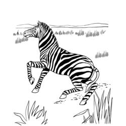 Página para colorir: Zebra (animais) #13053 - Páginas para Colorir Imprimíveis Gratuitamente