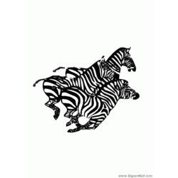 Página para colorir: Zebra (animais) #13067 - Páginas para Colorir Imprimíveis Gratuitamente