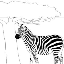 Página para colorir: Zebra (animais) #13075 - Páginas para Colorir Imprimíveis Gratuitamente