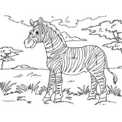 Página para colorir: Zebra (animais) #13087 - Páginas para Colorir Imprimíveis Gratuitamente