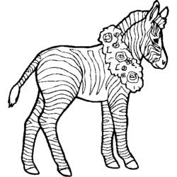 Página para colorir: Zebra (animais) #13088 - Páginas para Colorir Imprimíveis Gratuitamente