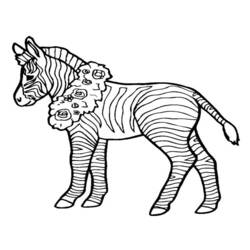 Página para colorir: Zebra (animais) #13097 - Páginas para Colorir Imprimíveis Gratuitamente