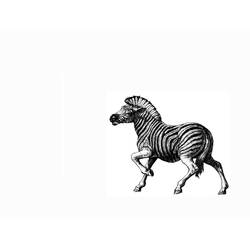 Página para colorir: Zebra (animais) #13100 - Páginas para Colorir Imprimíveis Gratuitamente