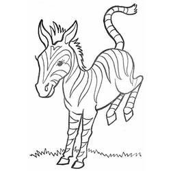 Página para colorir: Zebra (animais) #13105 - Páginas para Colorir Imprimíveis Gratuitamente
