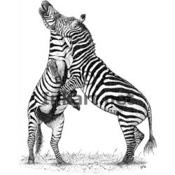 Página para colorir: Zebra (animais) #13122 - Páginas para Colorir Imprimíveis Gratuitamente
